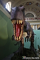 VBS_0977 - Dinosauri. Terra dei giganti